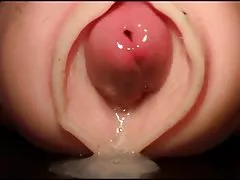 布鲁内特的宝贝为性爱捡起了一个小情人的光